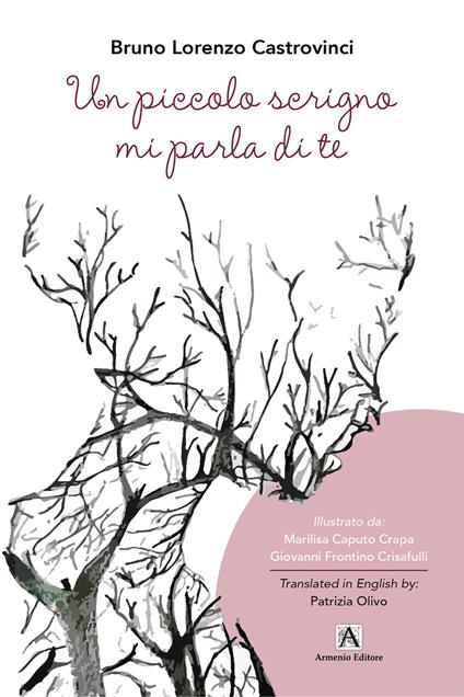 Un piccolo scrigno mi parla di te. Ediz. a caratteri grandi - Bruno Lorenzo Castrovinci - copertina