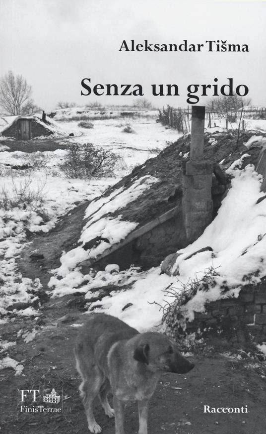 Senza un grido - Aleksandar Tisma - copertina