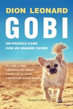 Gobi. Un piccolo cane con un grande cuore