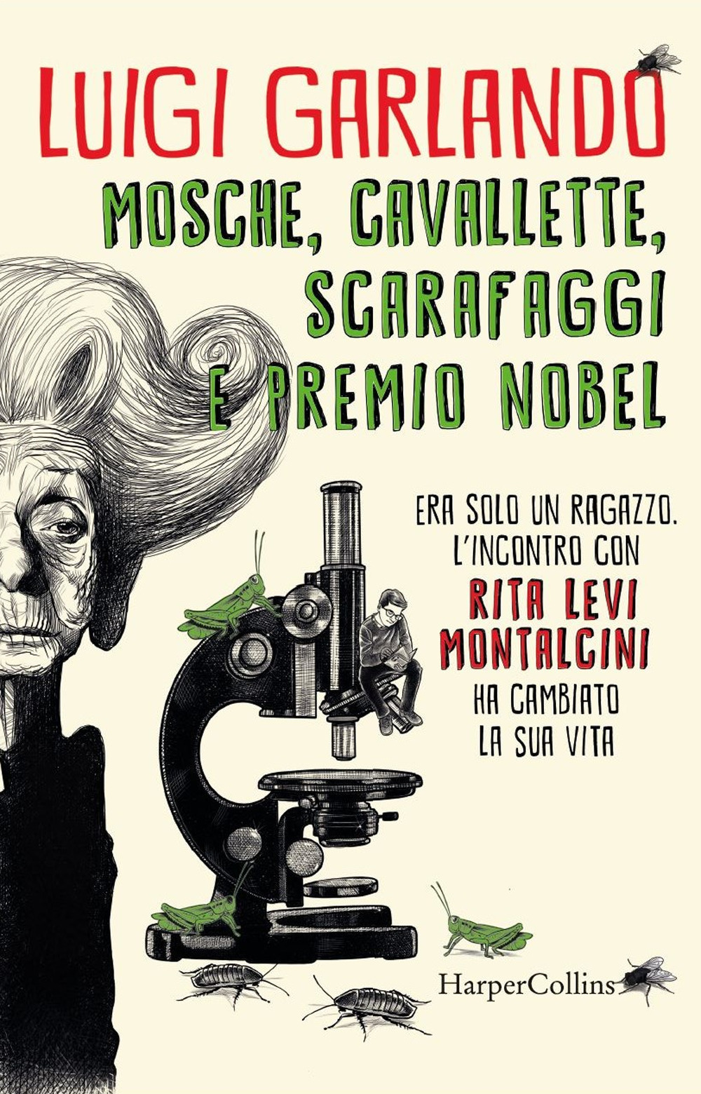 Libraccio