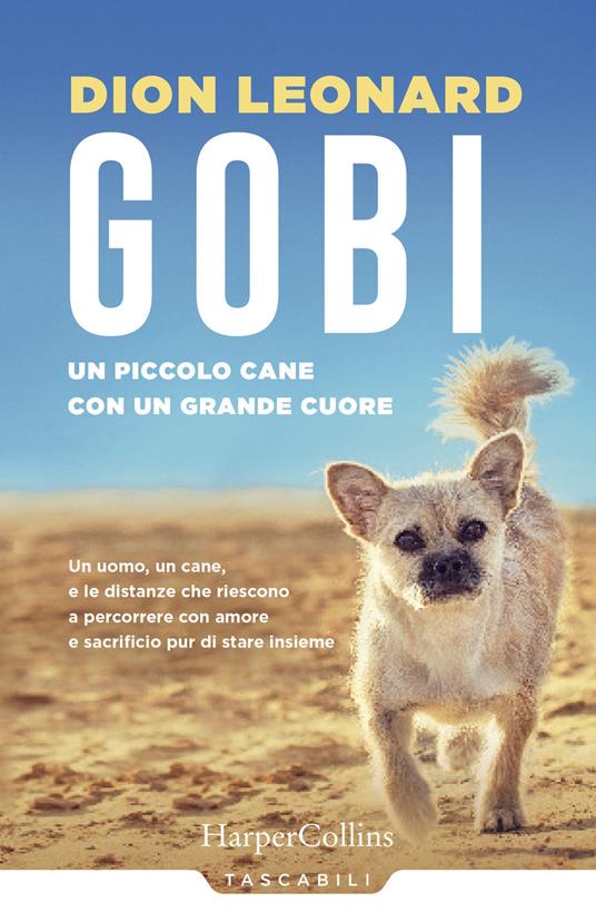Gobi. Un piccolo cane con un grande cuore - Dion Leonard - copertina