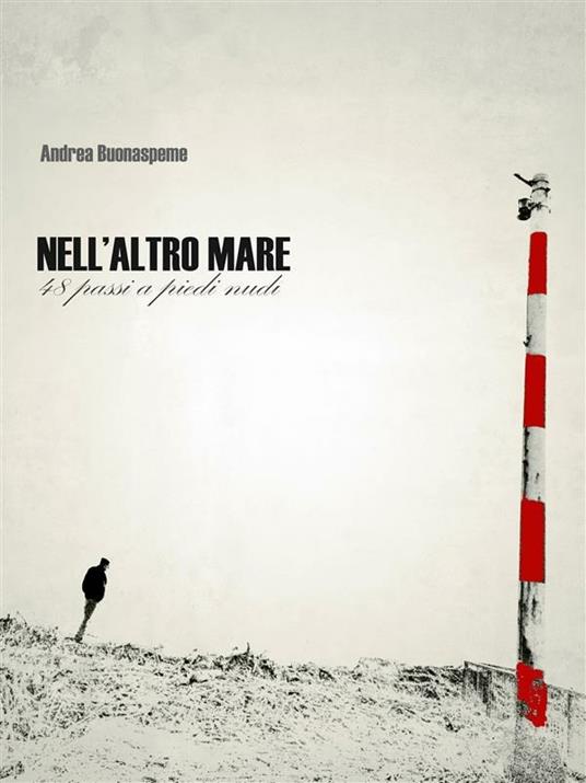 Nell'altro mare - Andrea Buonaspeme - ebook