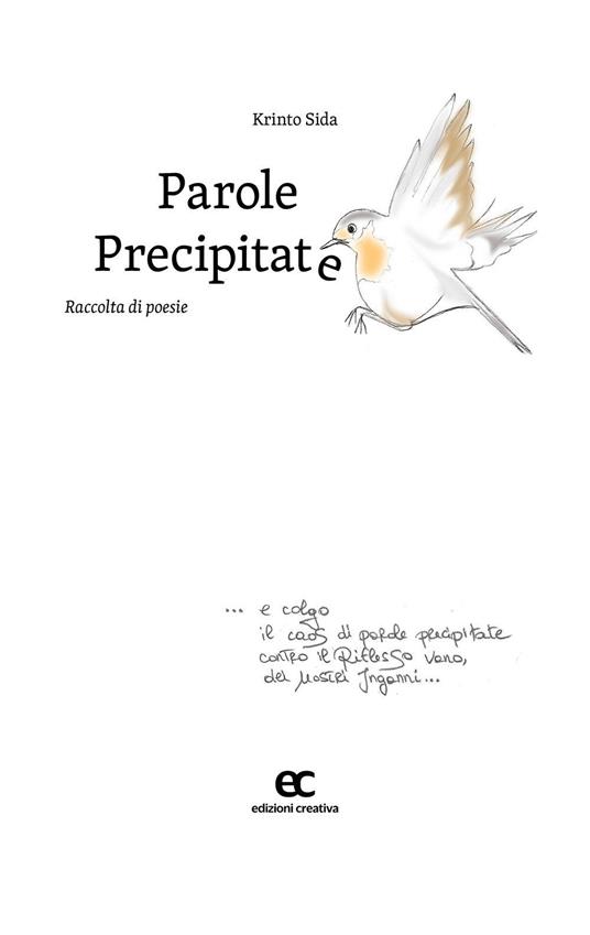 Parole precipitate - Krinto Sida - copertina