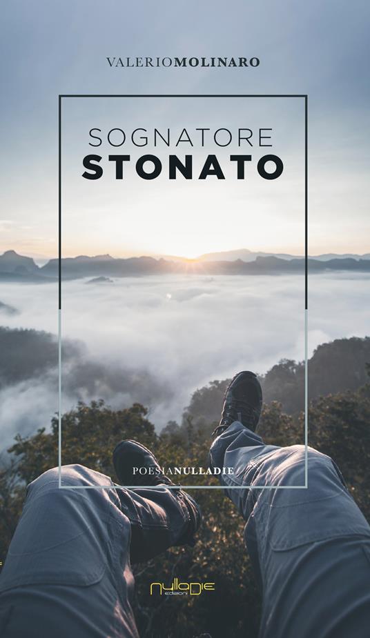 Sognatore stonato - Valerio Molinaro - copertina