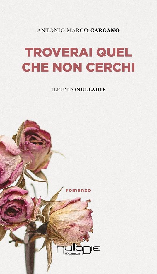 Troverai quel che non cerchi - Antonio Marco Gargano - copertina