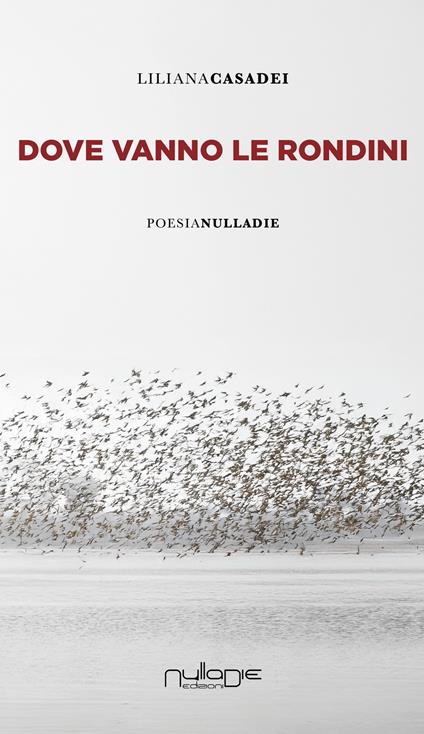Dove vanno le rondini - Liliana Casadei - copertina
