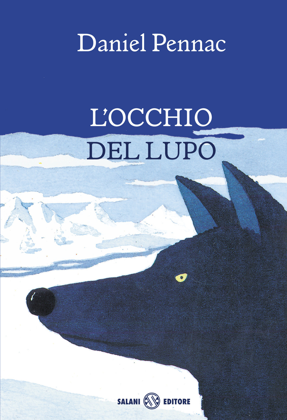 Libraccio