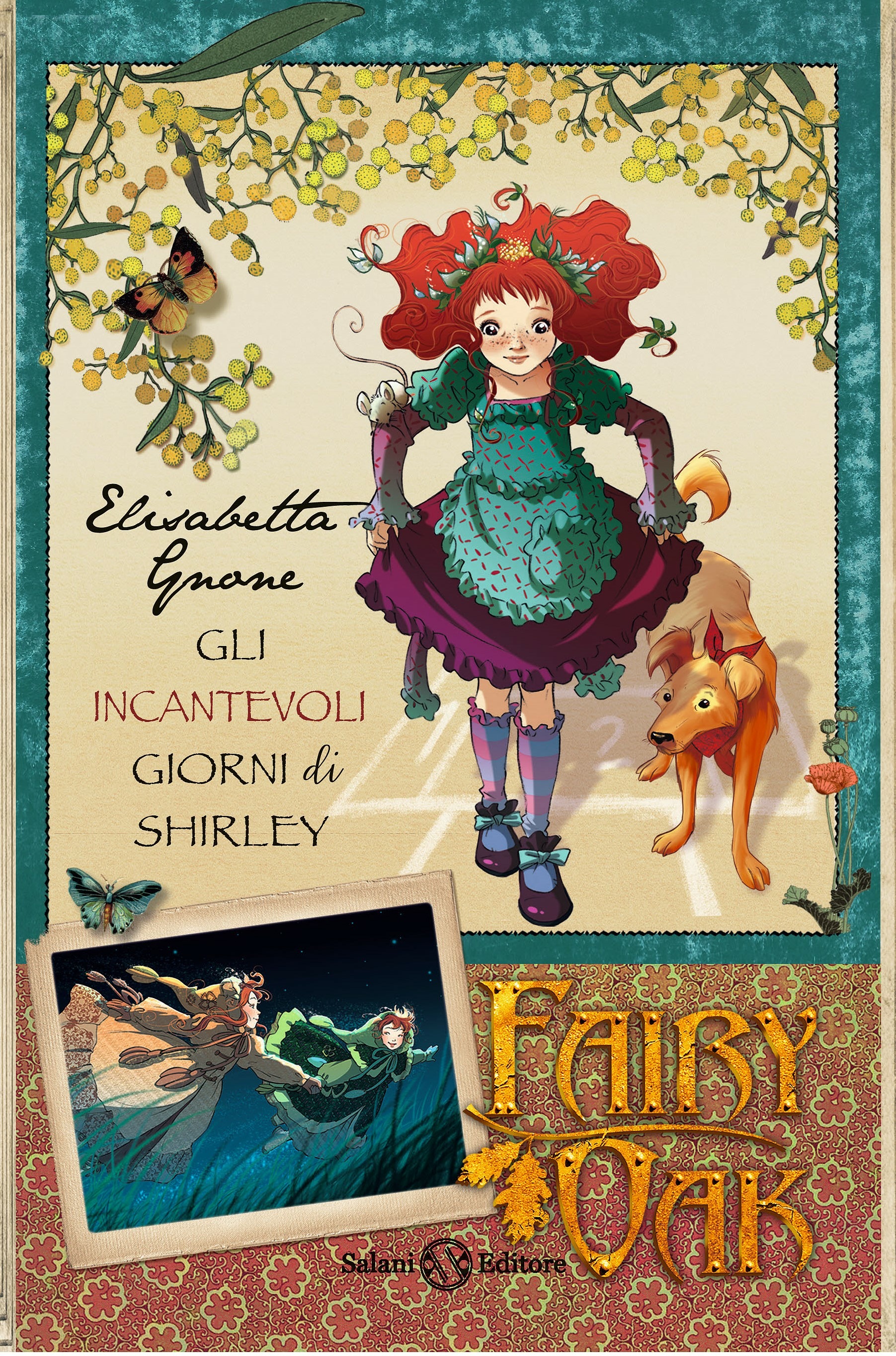 Libraccio