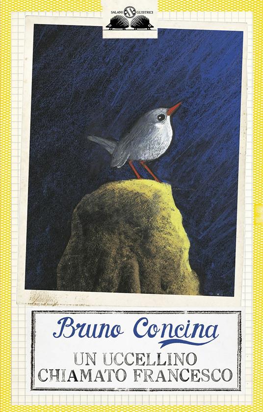 Un uccellino chiamato Francesco - Bruno Concina - ebook