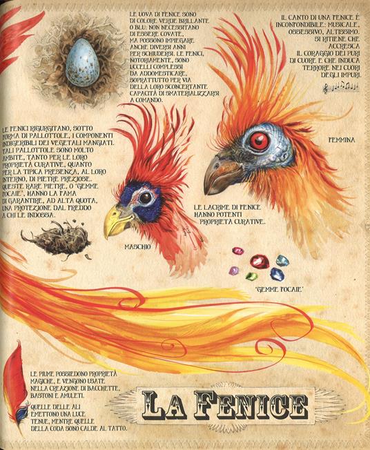 Harry Potter. La serie illustrata di J.K. Rowling - FUORI COLLANA - Il  Libraio