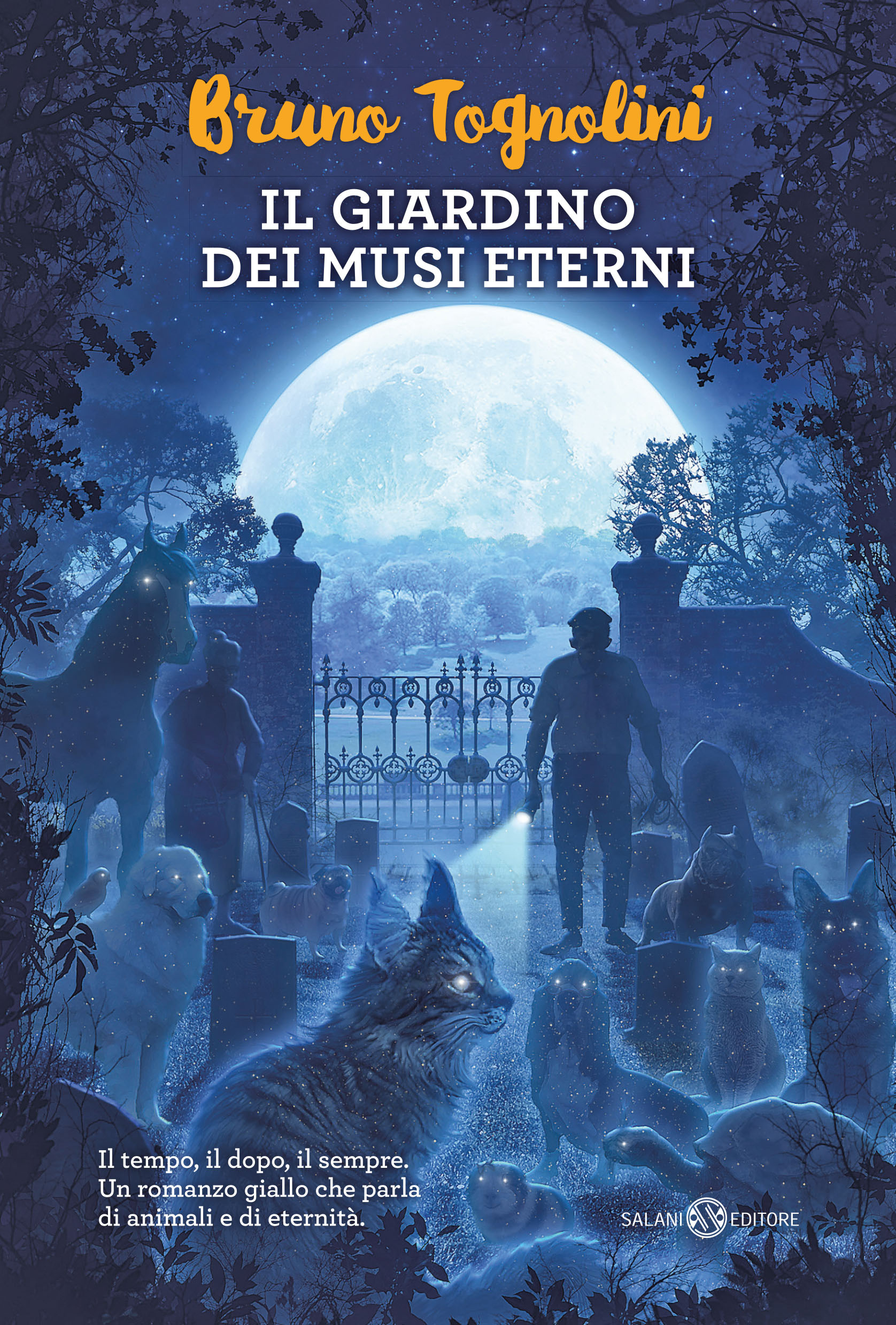 Libreria Internazionale Romagnosi snc