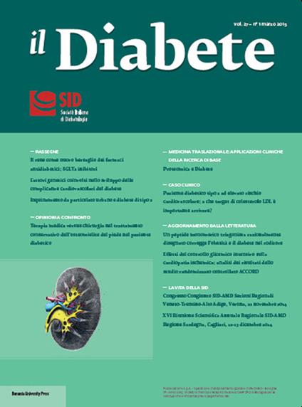 Il diabete (2015). Vol. 27/1 - copertina