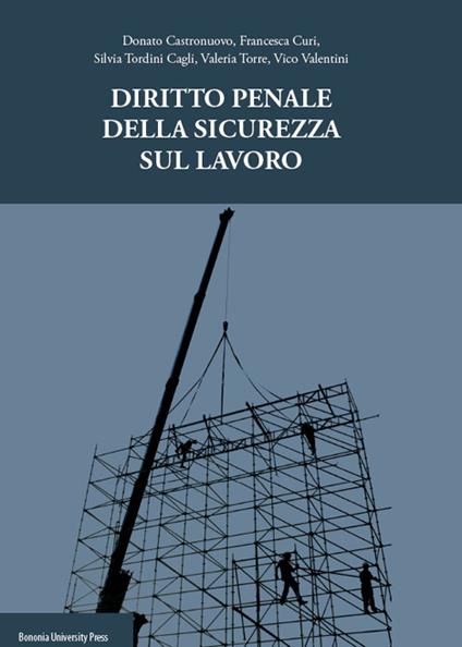 Diritto penale della sicurezza del lavoro - Donato Castronuovo,Francesca Curi,Silvia Tordini Cagli - copertina