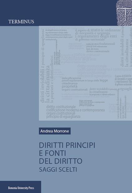 Diritti, principi e fonti del diritto. Saggi scelti - Andrea Morrone - copertina