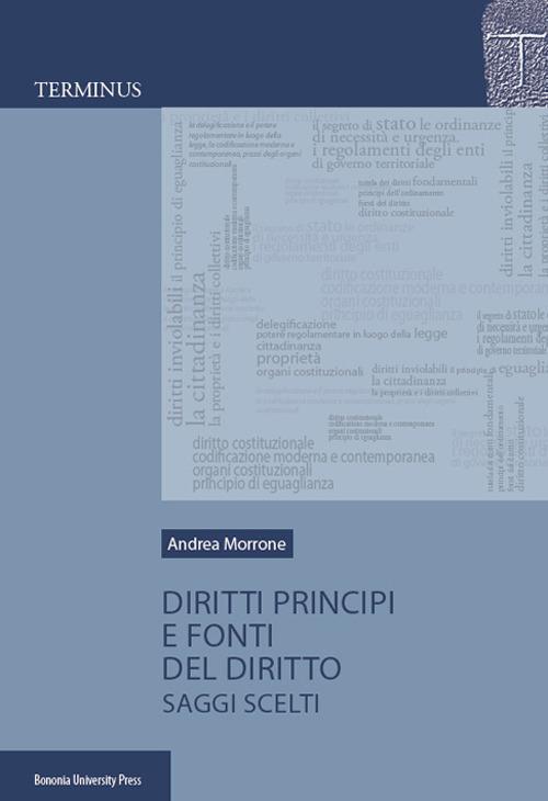Diritti, principi e fonti del diritto. Saggi scelti - Andrea Morrone - copertina