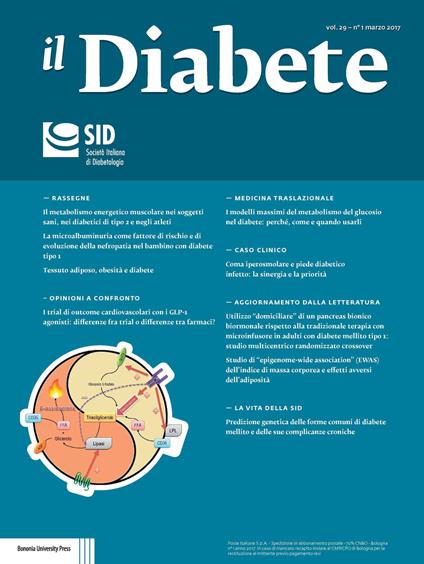 Il diabete (2017). Vol. 29 - copertina