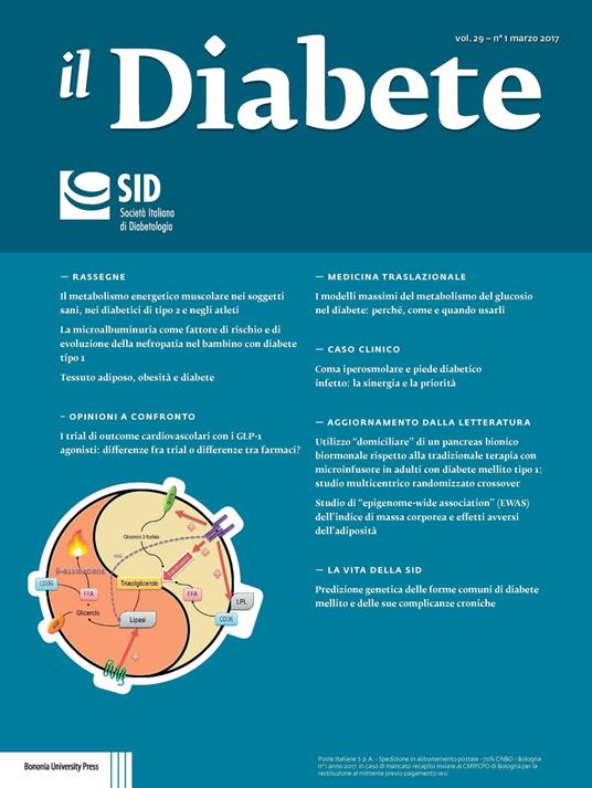 Il diabete (2017). Vol. 29 - copertina
