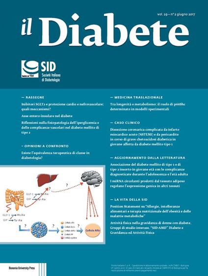 Il diabete (2017). Vol. 29 - copertina