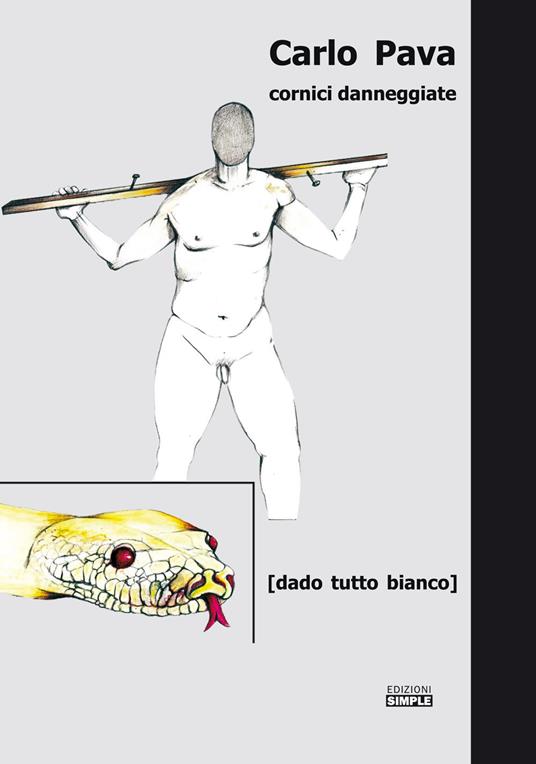 Cornici danneggiate - Carlo Pava - copertina