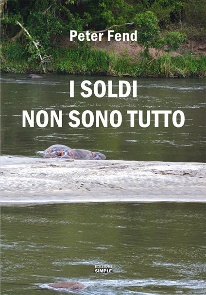I soldi non sono tutto - Peter Fend - copertina