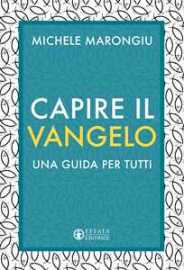 Capire il vangelo. Una guida per tutti