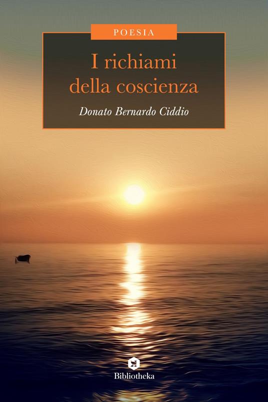 I richiami della coscienza - Donato Bernardo Ciddio - ebook