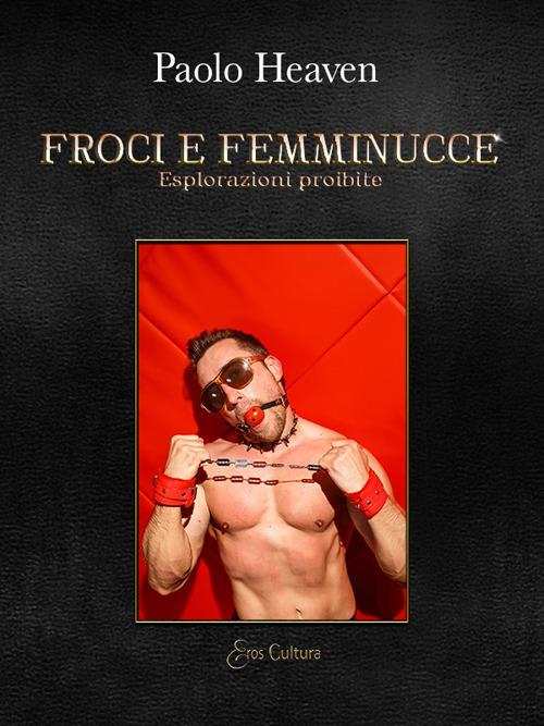 Froci e femminucce - Paolo Heaven - copertina