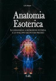Anatomia esoterica. Le ghiandole a secrezione interna e lo sviluppo dei poteri psichici