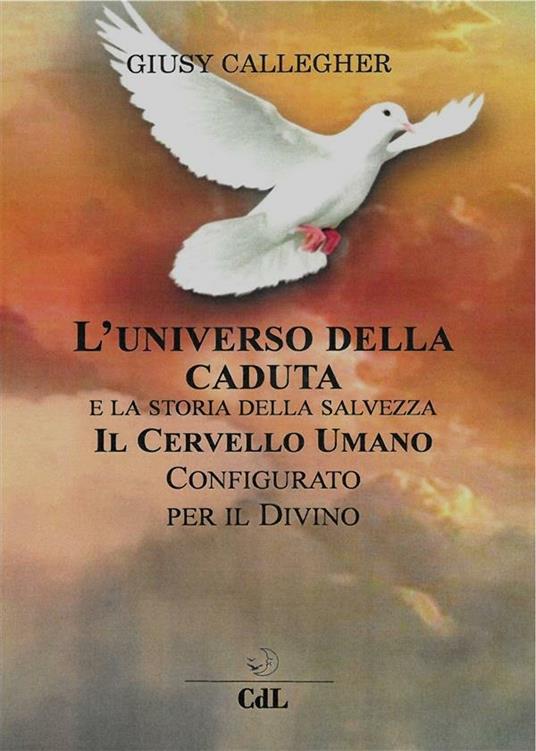 L' universo della caduta e la storia della salvezza. Il cervello umano configurato per il divino - Giusy Callegher - ebook