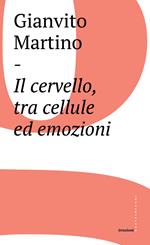 Il cervello, tra cellule ed emozioni