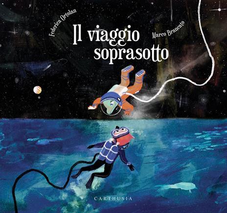 Il viaggio soprasotto. Ediz. a colori - Federica Ortolan - copertina