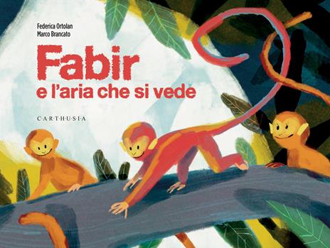 Fabir e l'aria che si vede. Ediz. a colori - Federica Ortolan - copertina