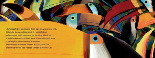 Fabir e l'aria che si vede. Ediz. a colori - Federica Ortolan - 3