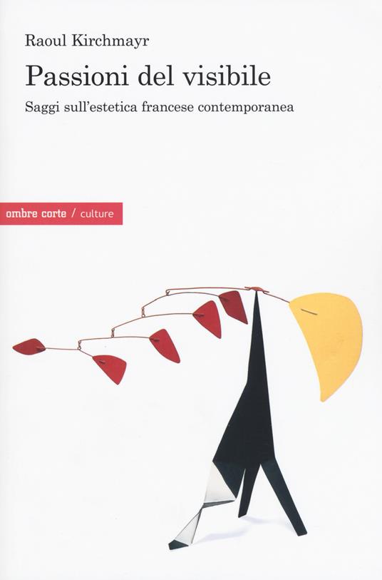 Passioni del visibile. Saggi sull'estetica francese contemporanea - Raoul Kirchmayr - copertina