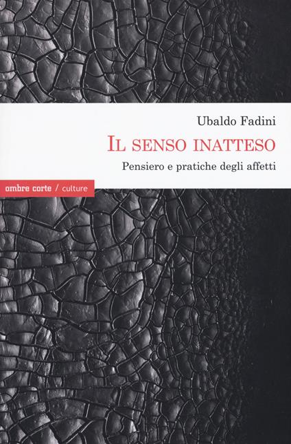 Il senso inatteso. Pensiero e pratiche degli affetti - Ubaldo Fadini - copertina