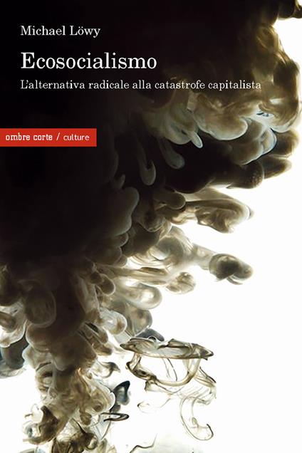 Ecosocialismo. Una alternativa radicale alla catastrofe capitalista - Michael Lowy - copertina