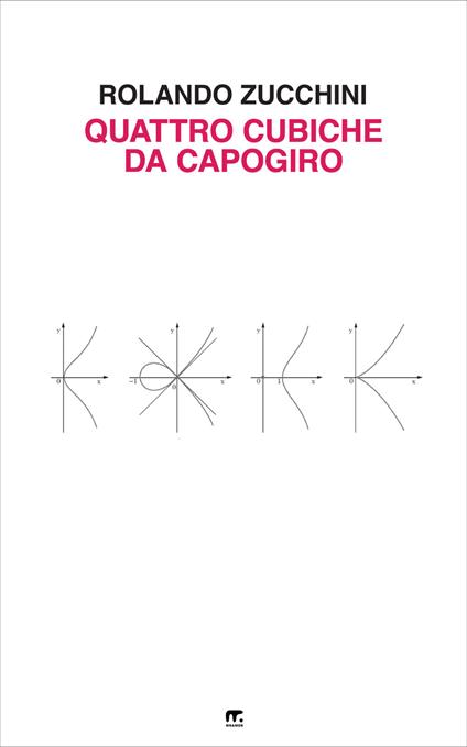 Quattro cubiche da capogiro - Rolando Zucchini - copertina
