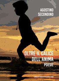 Oltre il calice dell'anima - Agostino Secondino - copertina