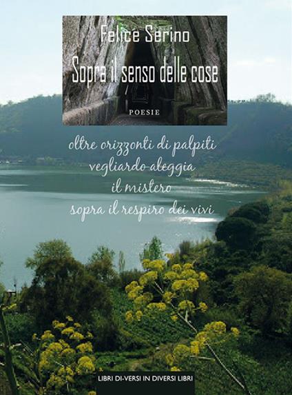 Sopra il senso delle cose - Felice Serino - copertina