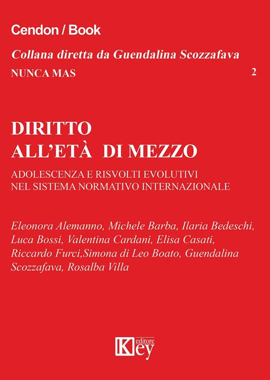 Diritto all'età di mezzo. Adolescenza e risvolti evolutivi nel sistema normativo internazionale - copertina