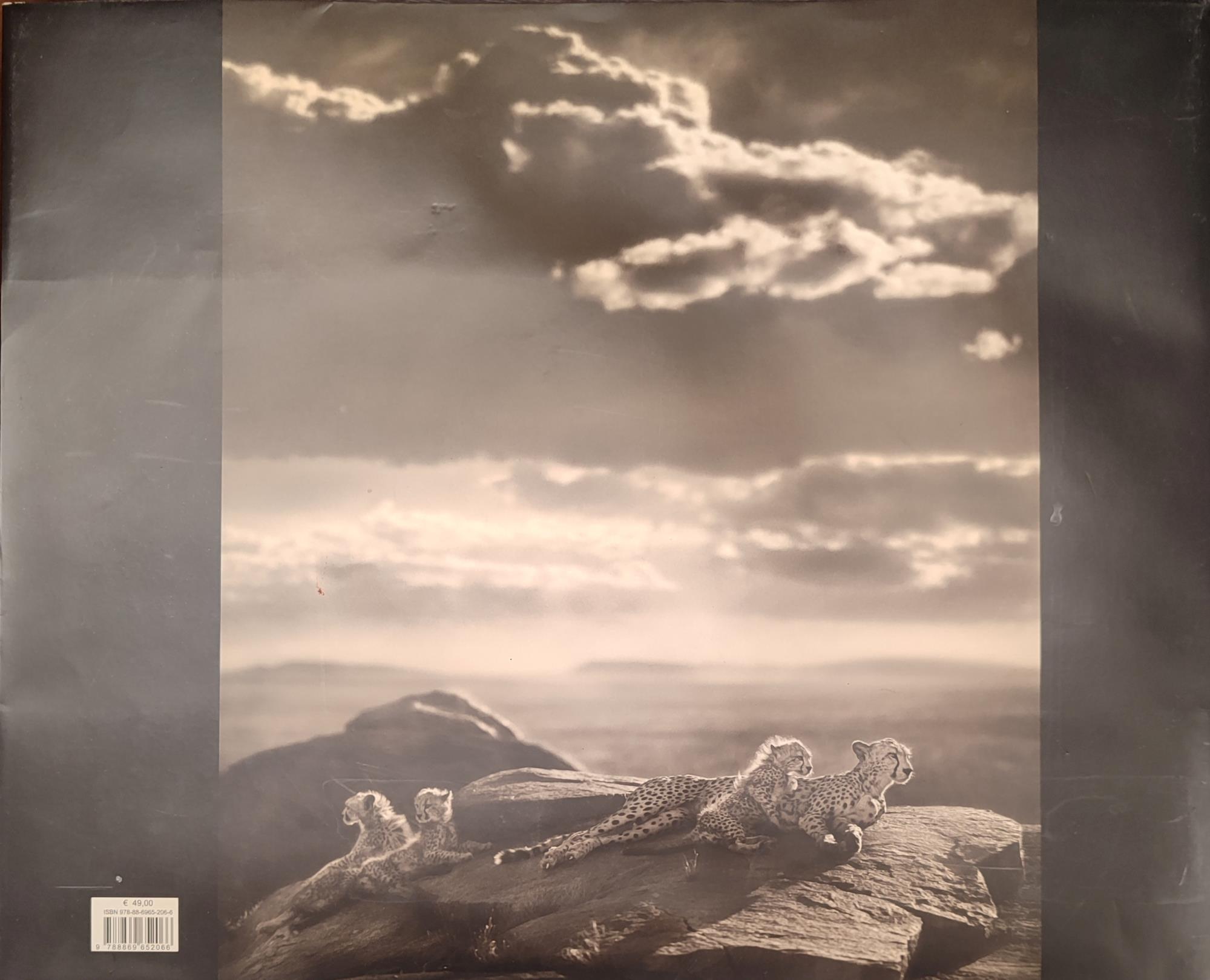 Un' ombra sulla terra