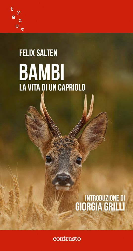 Bambi. La vita di un capriolo - Felix Salten - copertina