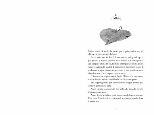 L' ultima dairne. Il regno di Nedarra. Vol. 1 - Katherine Applegate - 4