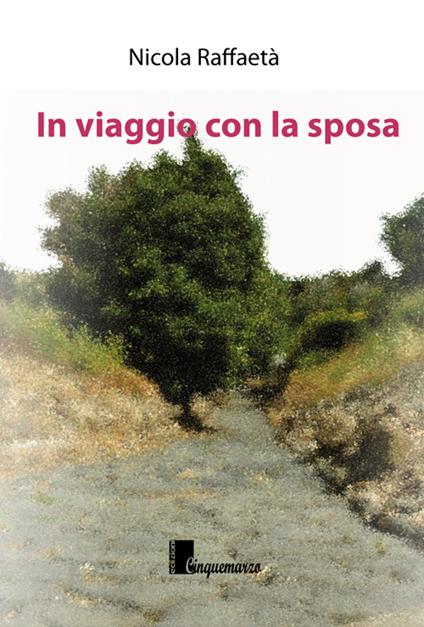 In viaggio con la sposa - Nicola Raffaetà - copertina