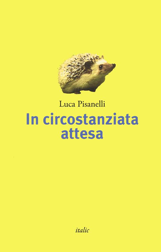 In circostanziata attesa - Luca Pisanelli - copertina
