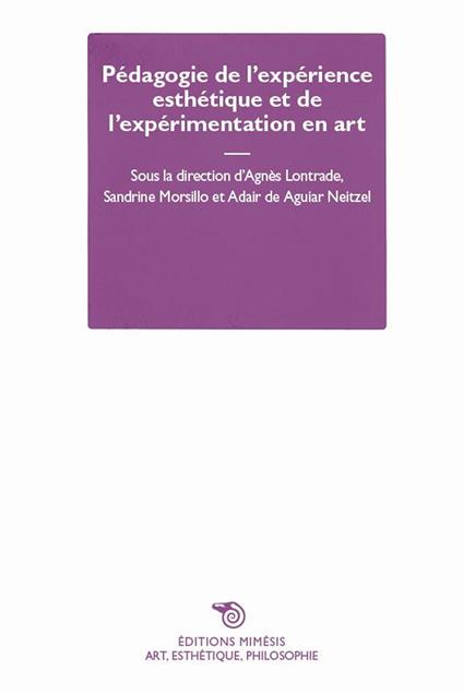 Pédagogie de l’expérience esthétique et de l’expérimentation en art - copertina