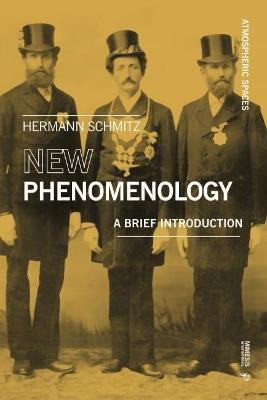 New phenomenology. A brief introduction - Hermann Schmitz - copertina