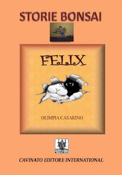 Storie bonsai. Felix - Olimpia Casarino - copertina