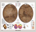 Marte. Luna. Carta murale astronomica
