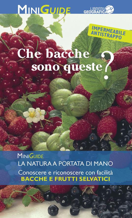 Che bacche sono queste? - copertina